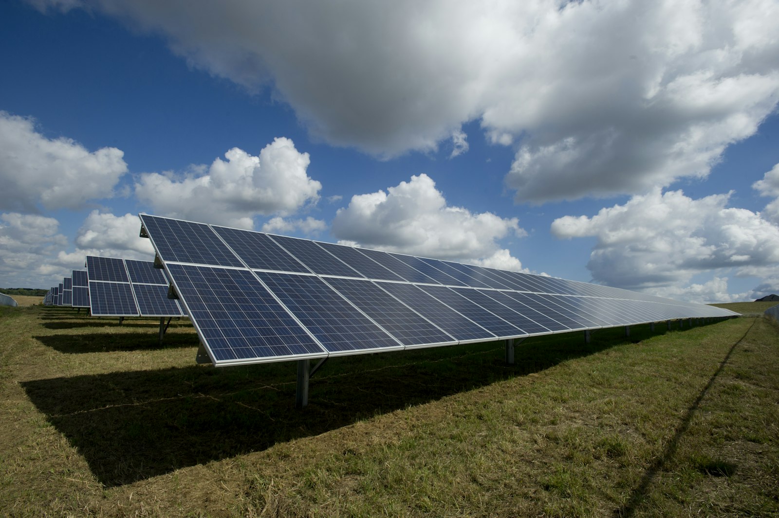 Paneles solares bajo un cielo despejado.
